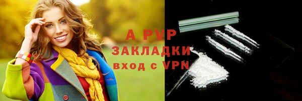 гидра Алексин