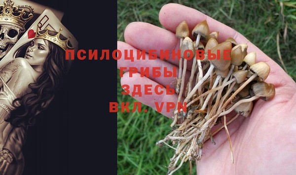 прущая мука Абаза